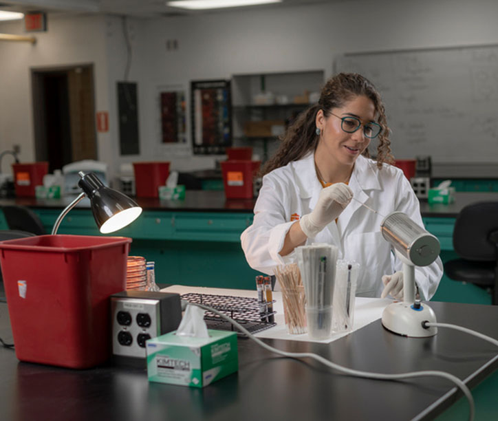 Woman conducting research