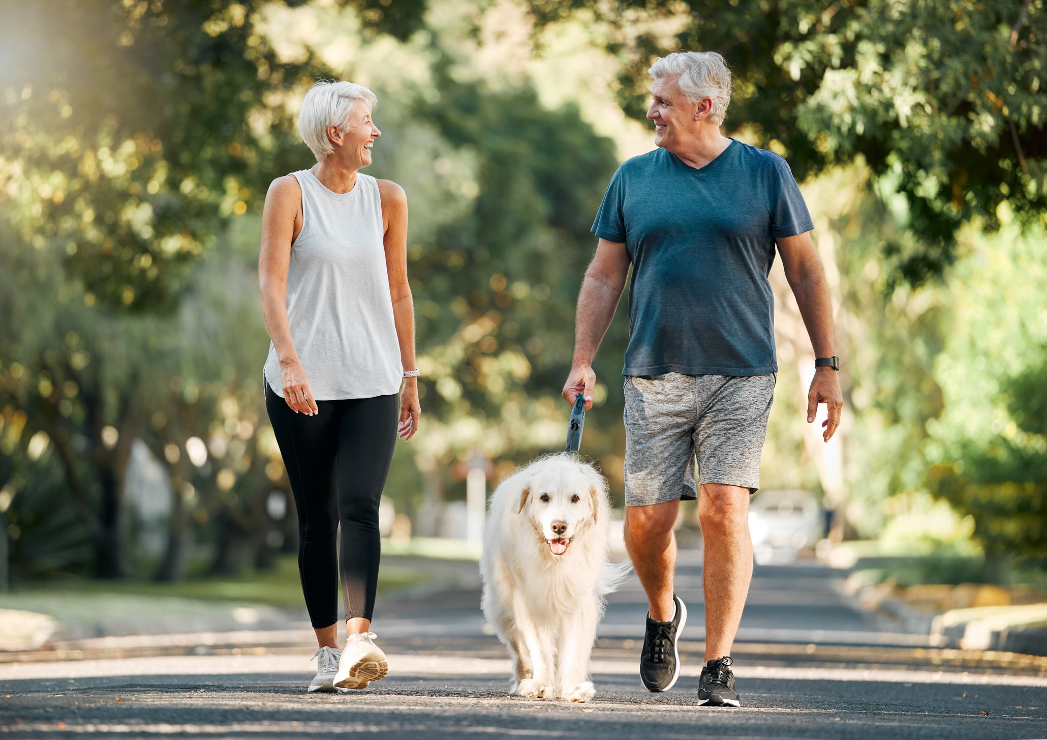 Older couple walk in park with their golden retriever