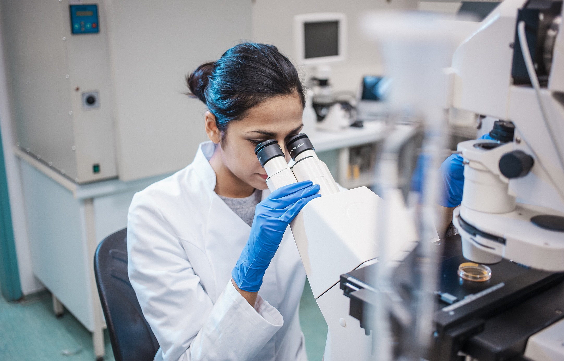 Female researcher in a lab coat examines samples under a microscope