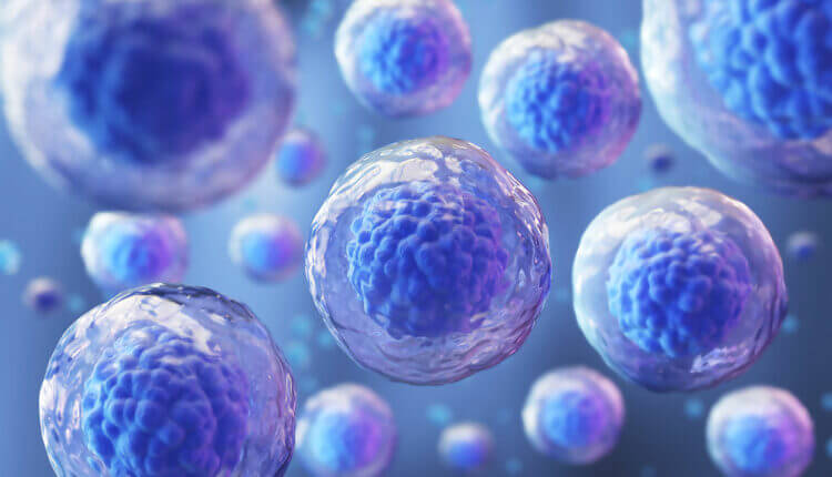 A digital illustration of stem cells.