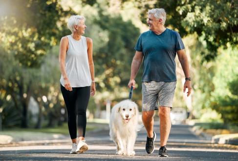 Older couple walk in park with their golden retriever