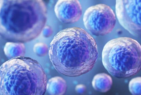 A digital illustration of stem cells.